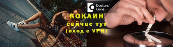 индика Переславль-Залесский