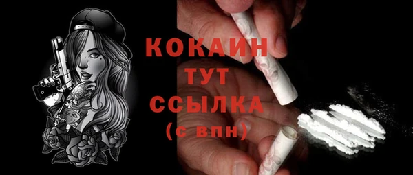 индика Переславль-Залесский
