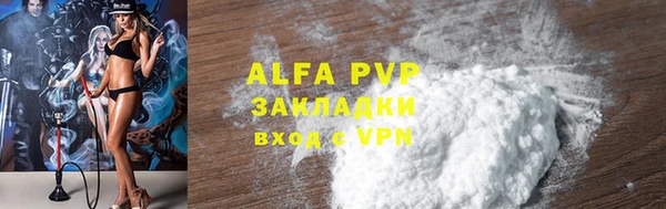 индика Переславль-Залесский