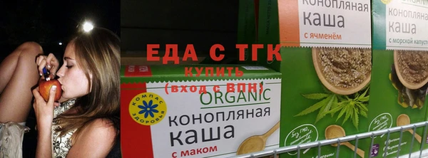 индика Переславль-Залесский