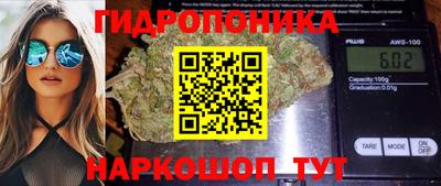 PSILOCYBIN Комсомольск-на-Амуре