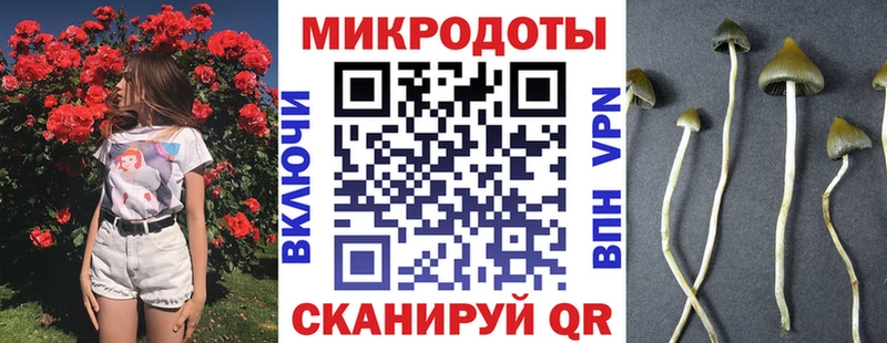 где можно купить   Азов  KRAKEN tor  Псилоцибиновые грибы Psilocybe 