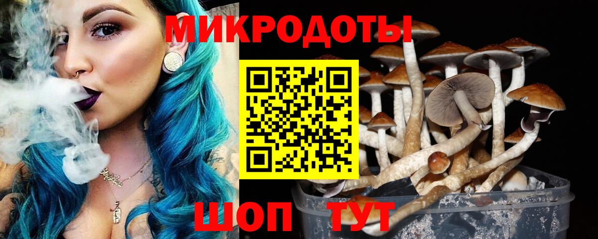 цена наркотик  Азов  Галлюциногенные грибы Magic Shrooms 