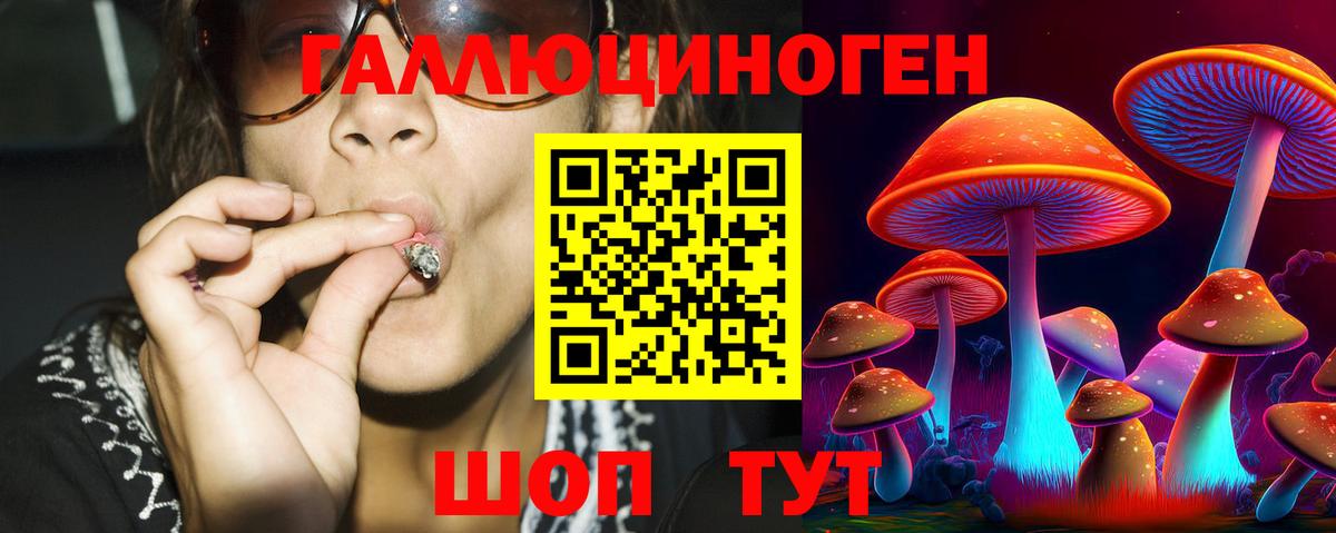 Азов  Галлюциногенные грибы Psilocybe  Вход с VPN  Псилоцибиновые грибы прущие грибы 